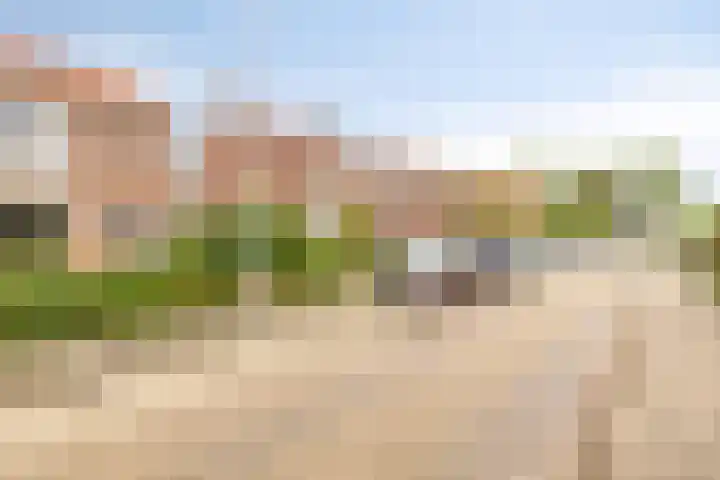 Schrevelsgerecht 9 Rijsenhout thumbnail 8