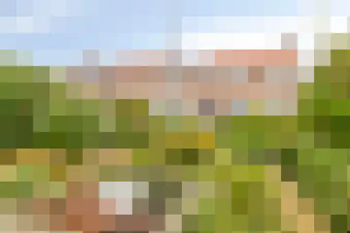 Schrevelsgerecht 9 Rijsenhout thumbnail 9