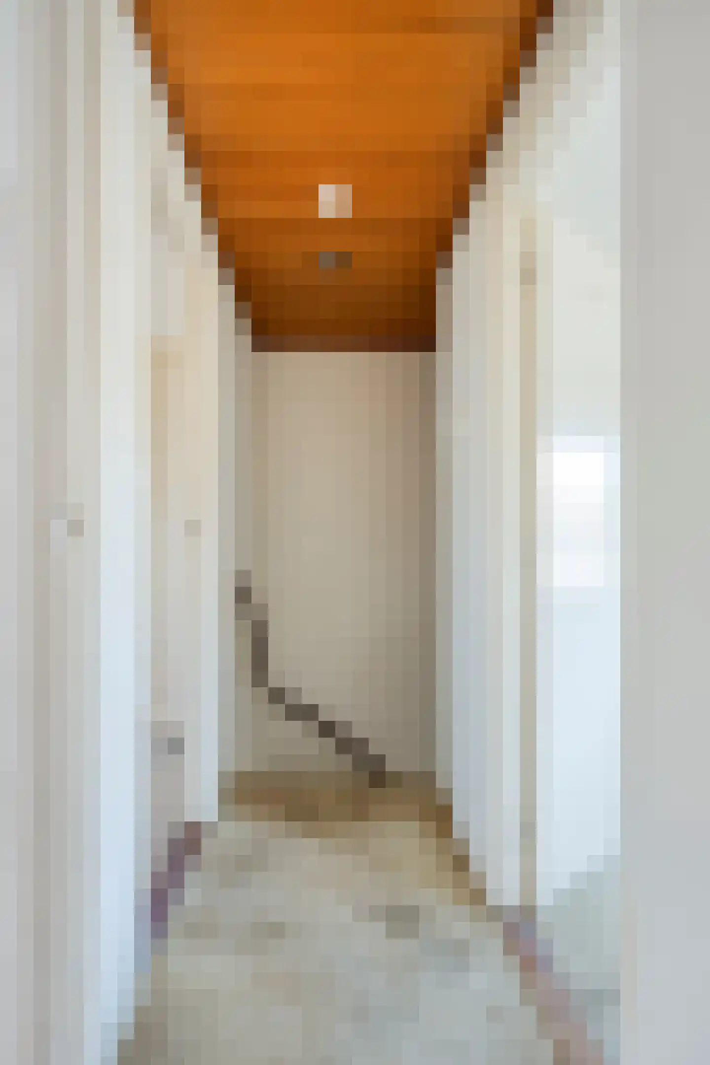Schrevelstraat 15 Sprang-Capelle thumbnail 23