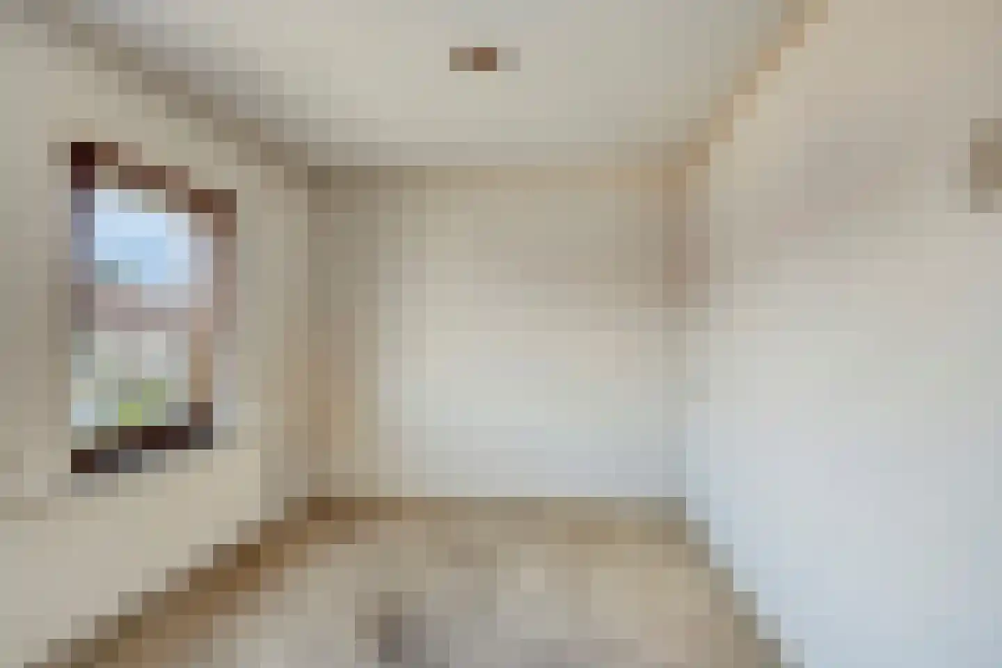 Schrevelstraat 15 Sprang-Capelle thumbnail 24