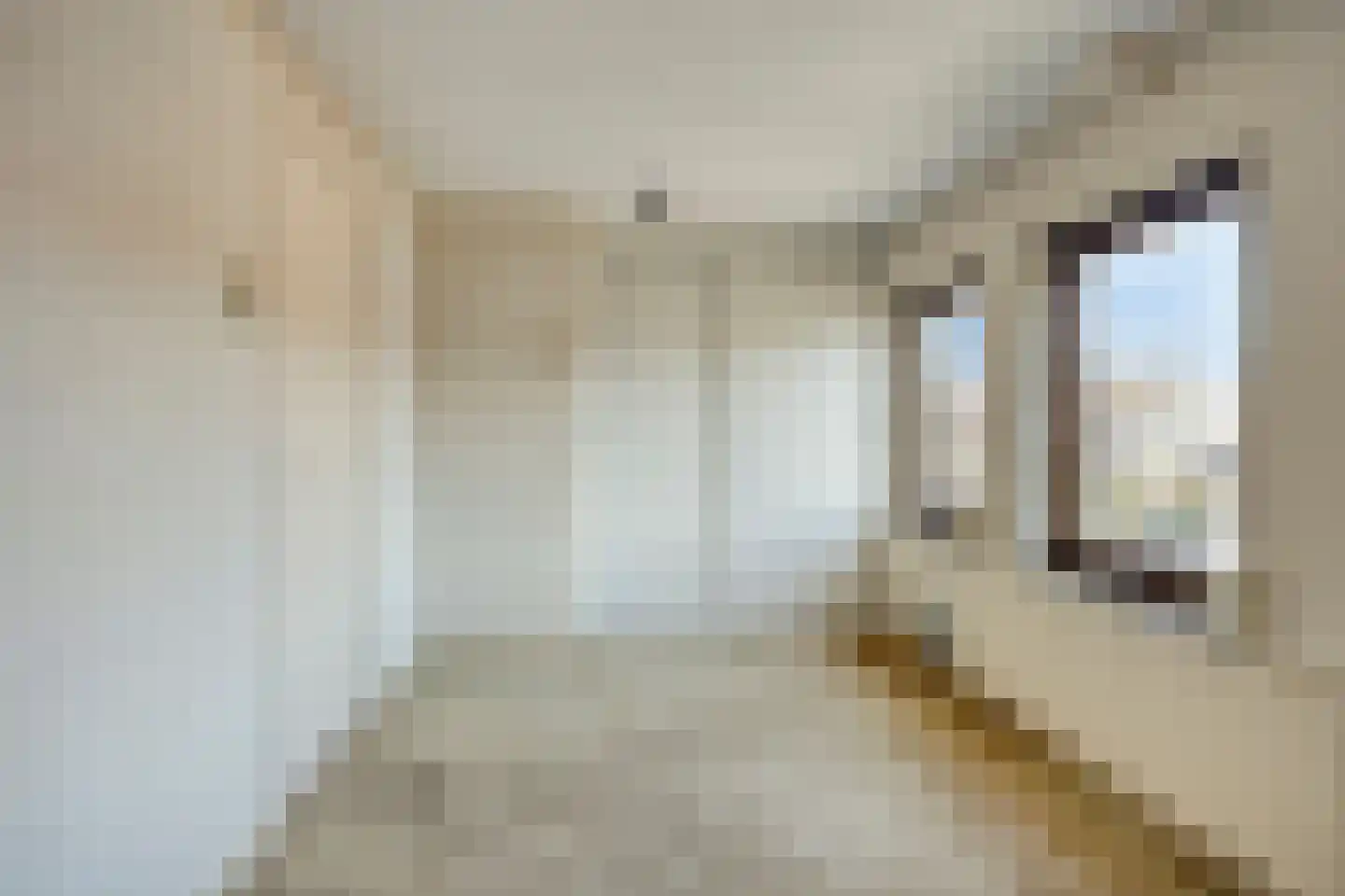 Schrevelstraat 15 Sprang-Capelle thumbnail 25