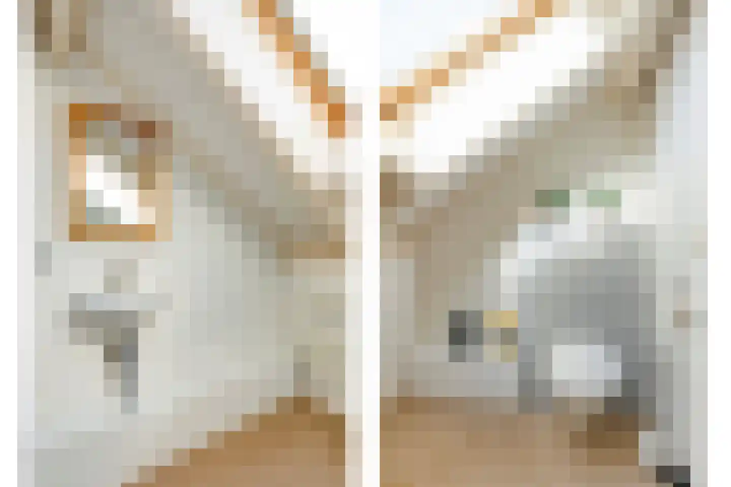 Schrevelstraat 15 Sprang-Capelle thumbnail 30