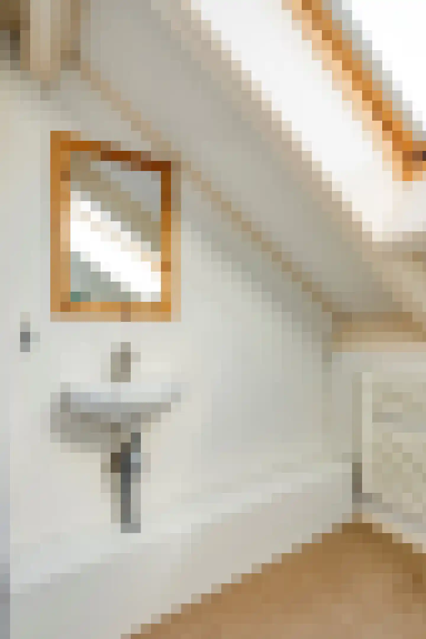 Schrevelstraat 15 Sprang-Capelle thumbnail 31