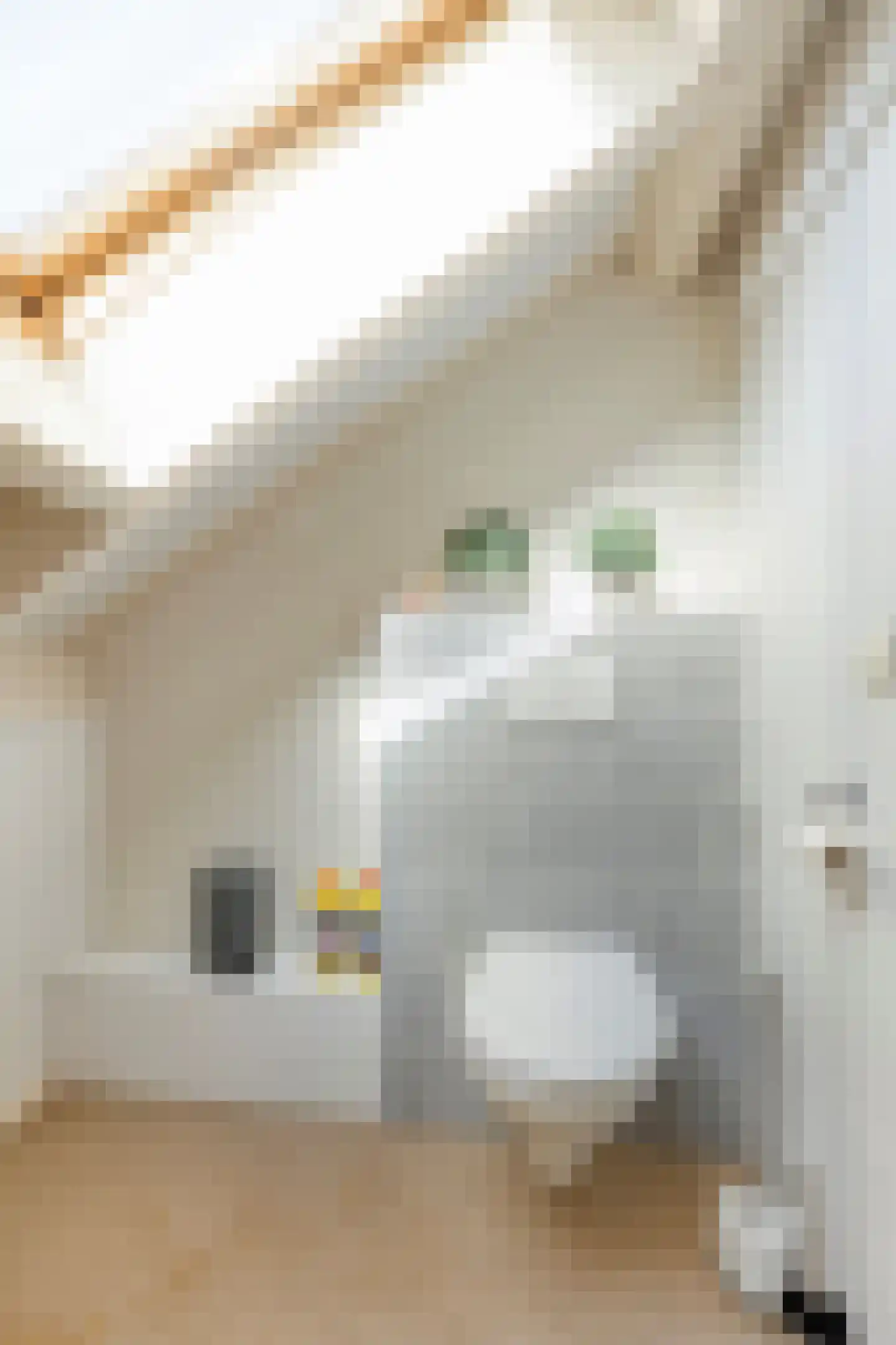 Schrevelstraat 15 Sprang-Capelle thumbnail 32