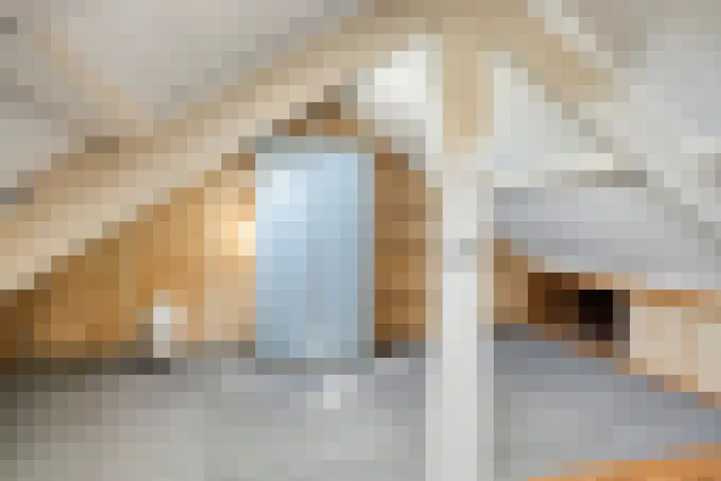 Schrevelstraat 15 Sprang-Capelle thumbnail 35