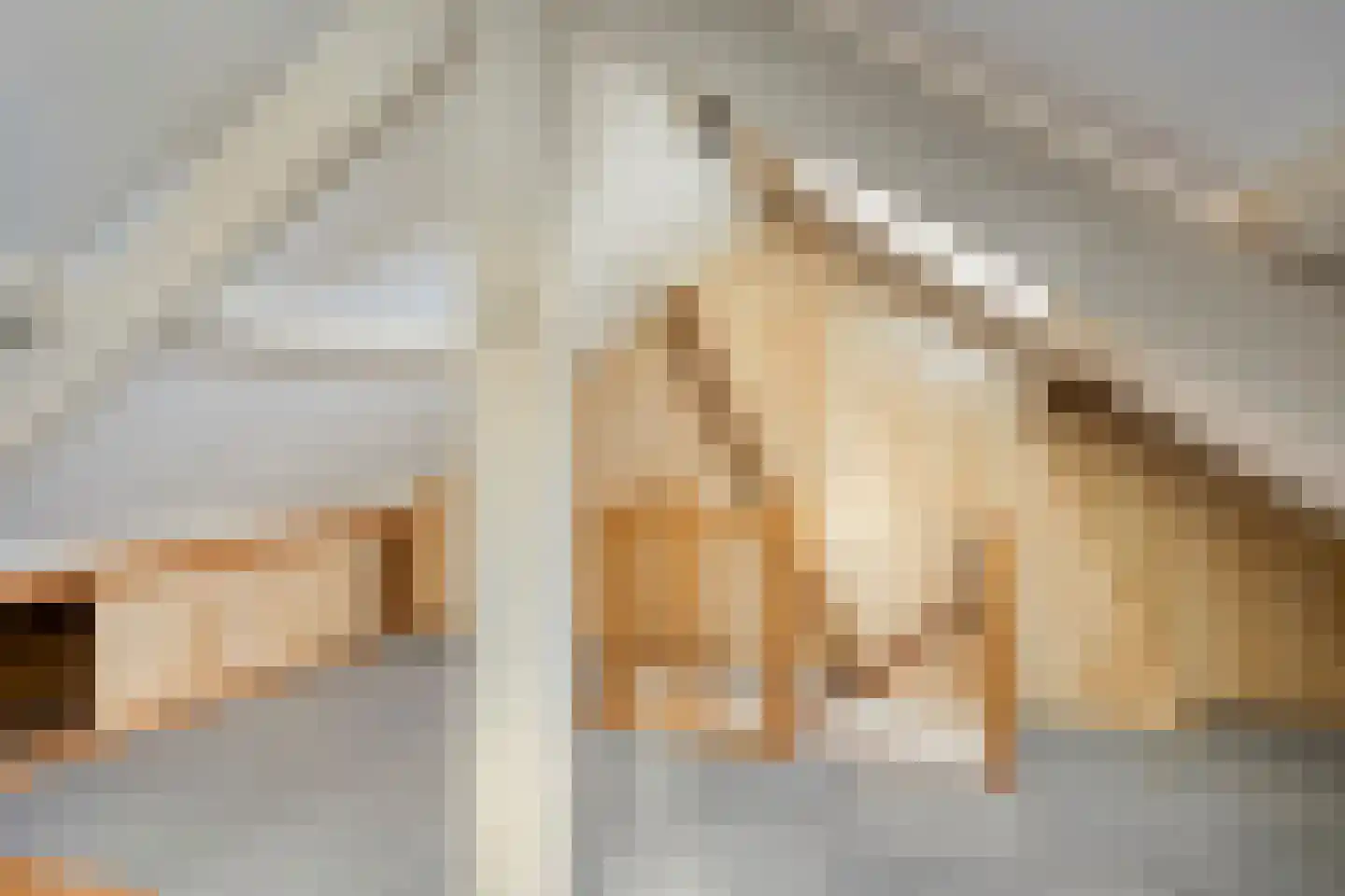 Schrevelstraat 15 Sprang-Capelle thumbnail 36