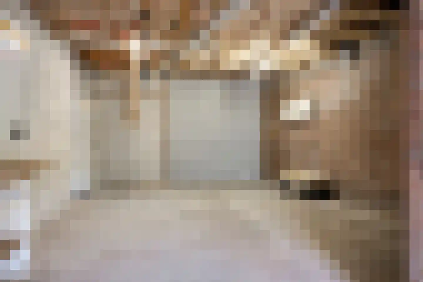 Schrevelstraat 15 Sprang-Capelle thumbnail 39