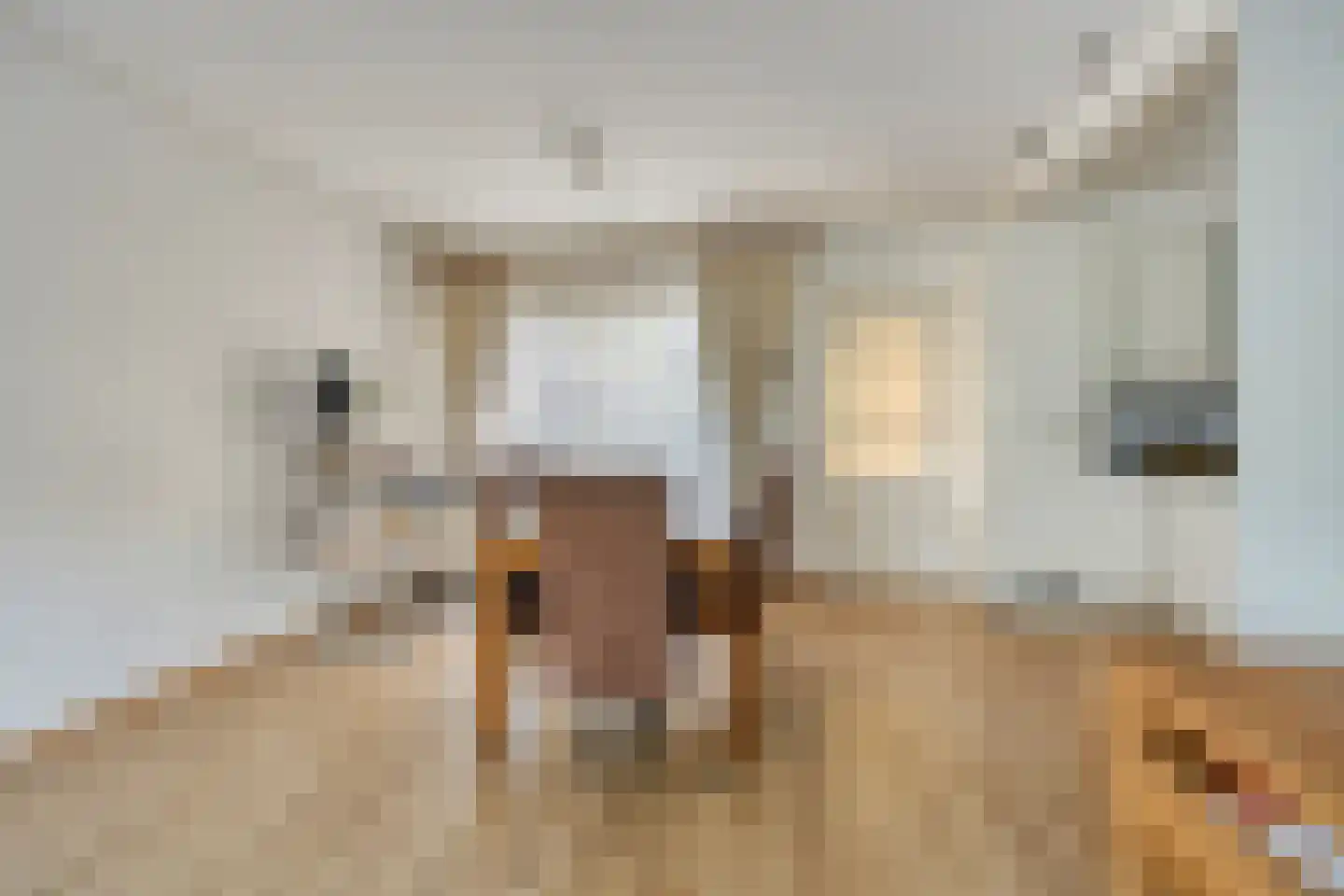 Schrevelstraat 15 Sprang-Capelle thumbnail 7