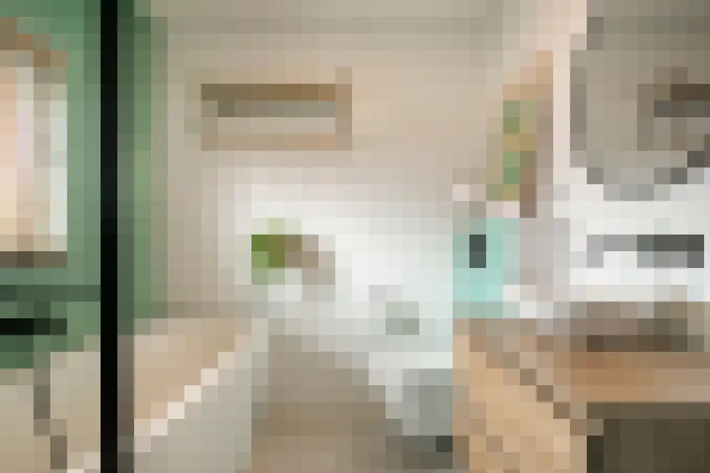 Schrevenhofdreef 24 Helmond thumbnail 26