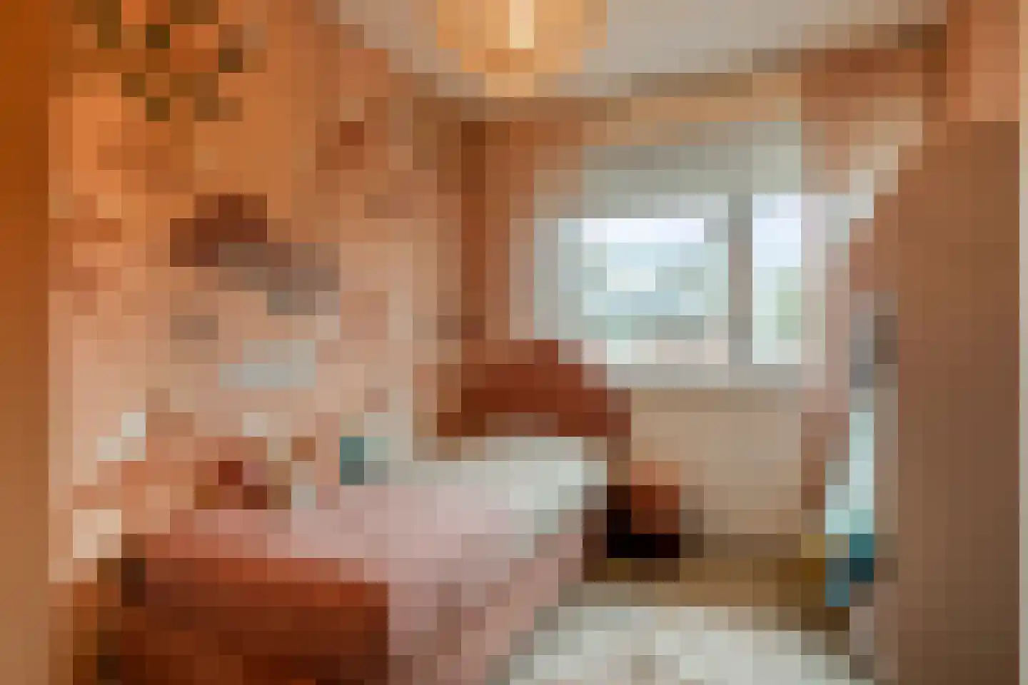 Schrevenhofdreef 24 Helmond thumbnail 29