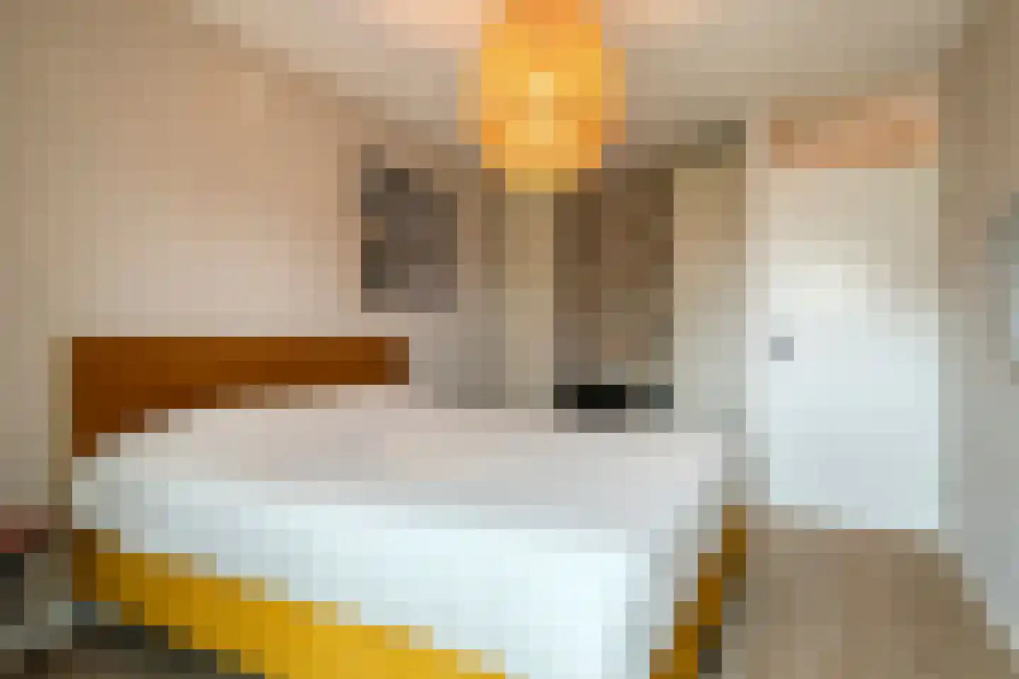 Schrevenhofdreef 24 Helmond thumbnail 32