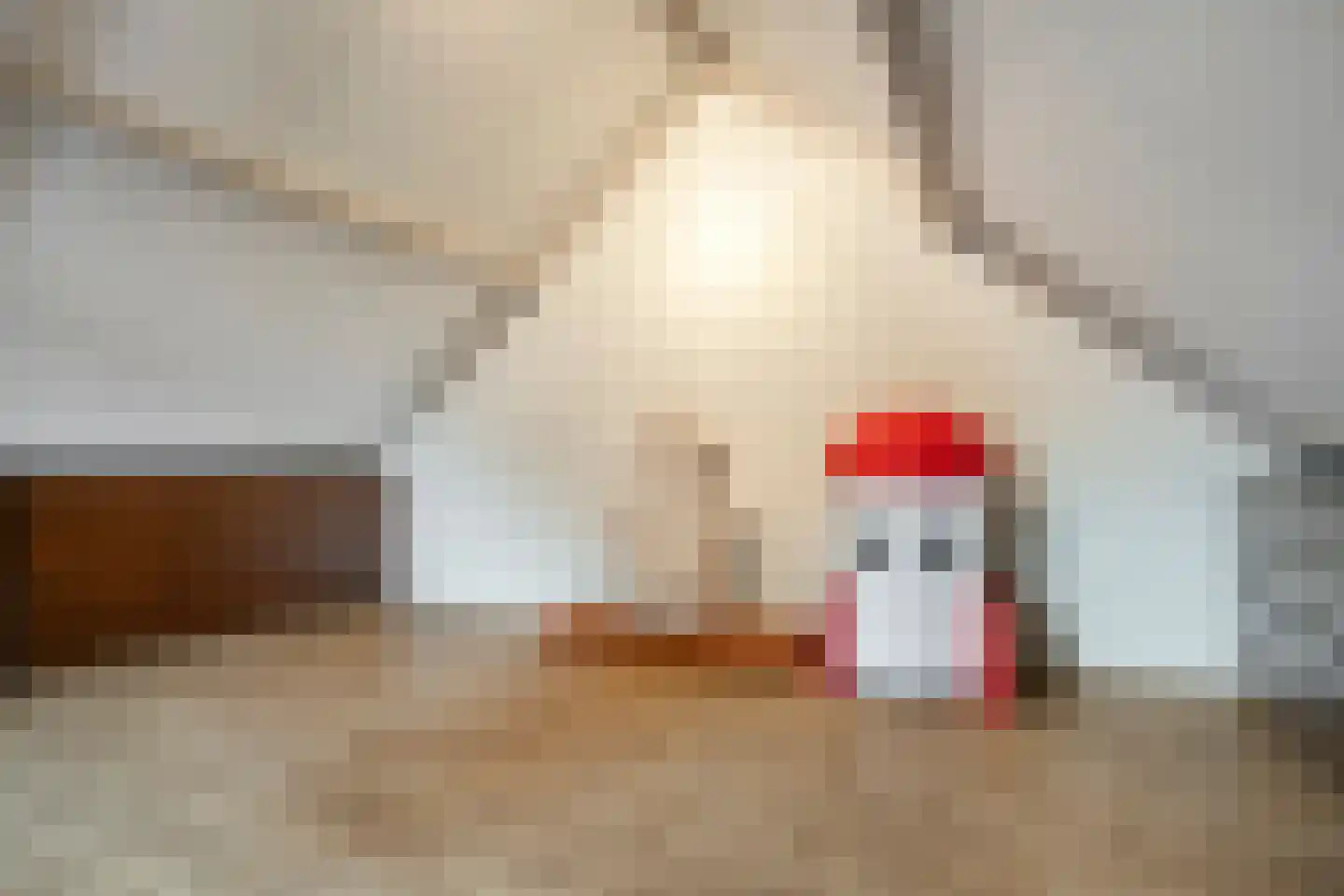 Schrevenhofdreef 24 Helmond thumbnail 35