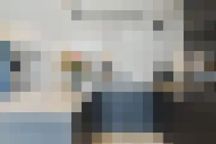 Schreyboom 22 Westdorpe thumbnail 10