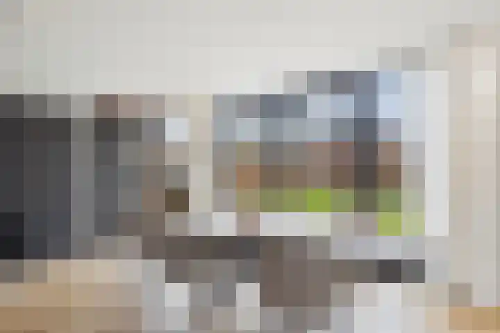 Schreyboom 22 Westdorpe thumbnail 12