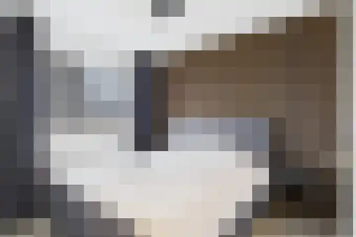 Schreyboom 22 Westdorpe thumbnail 13