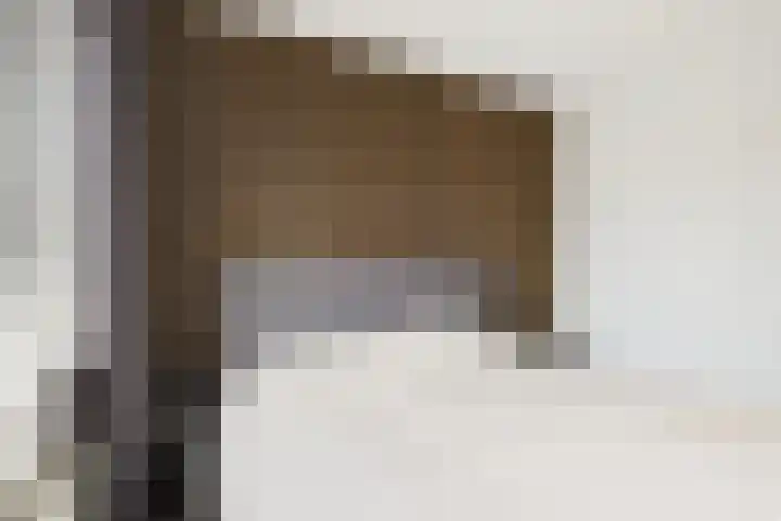 Schreyboom 22 Westdorpe thumbnail 14