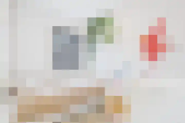 Schreyboom 22 Westdorpe thumbnail 15