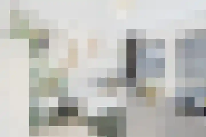 Schreyboom 22 Westdorpe thumbnail 16