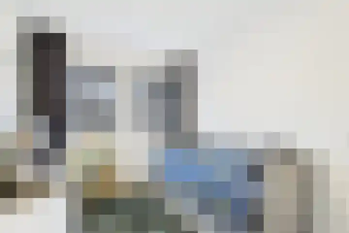 Schreyboom 22 Westdorpe thumbnail 17