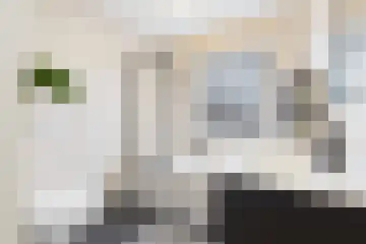 Schreyboom 22 Westdorpe thumbnail 18