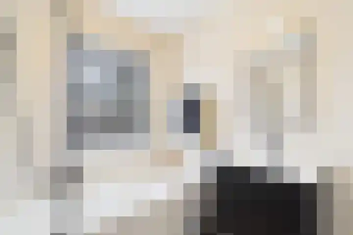 Schreyboom 22 Westdorpe thumbnail 19