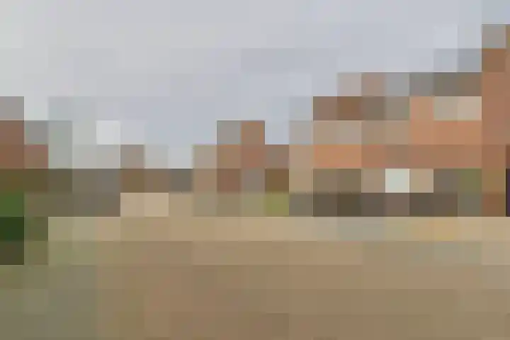 Schreyboom 22 Westdorpe thumbnail 24