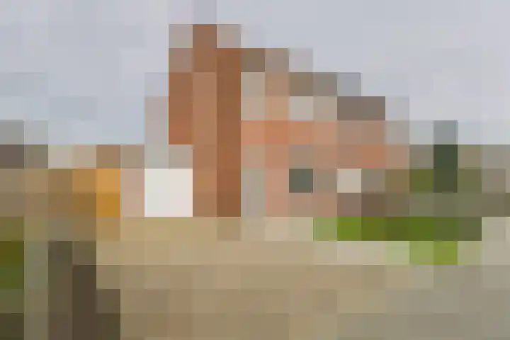 Schreyboom 22 Westdorpe thumbnail 5