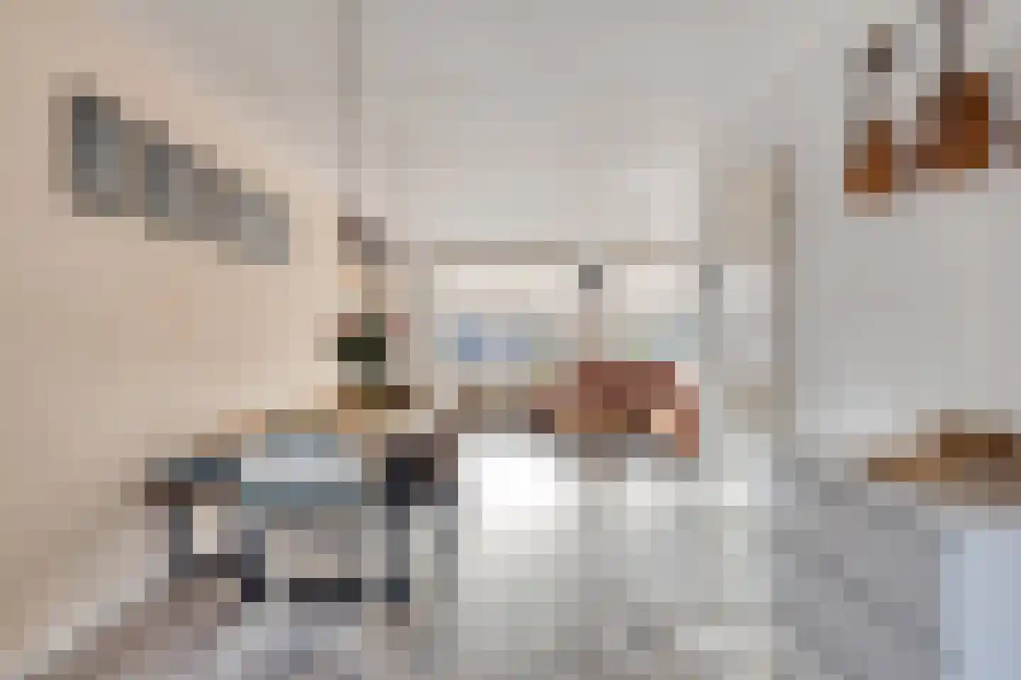 Schreyboom 26 Westdorpe thumbnail 12