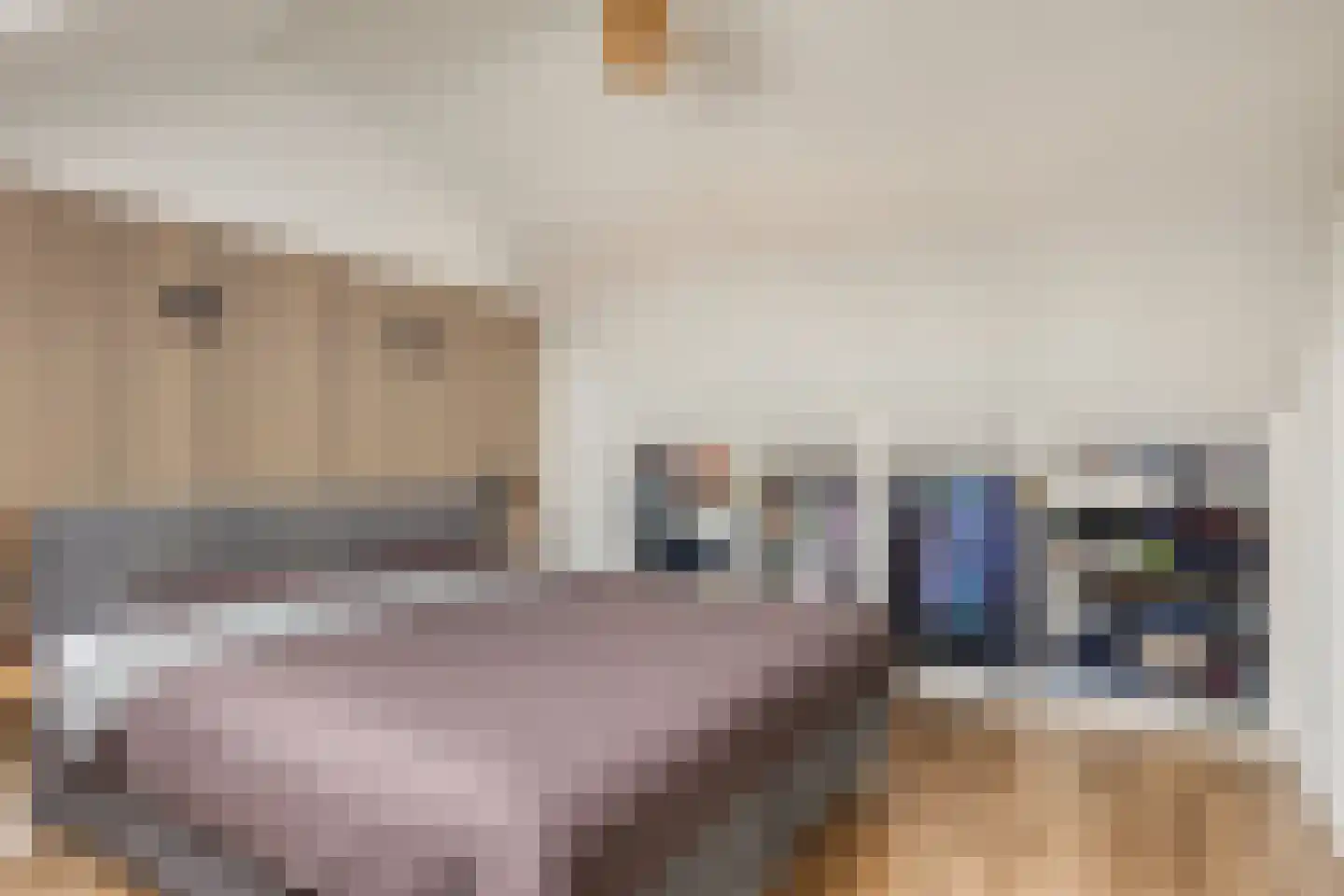 Schreyboom 26 Westdorpe thumbnail 28