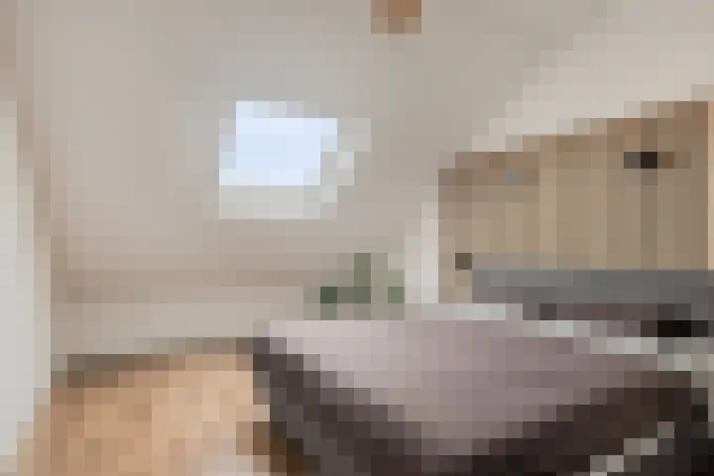 Schreyboom 26 Westdorpe thumbnail 29