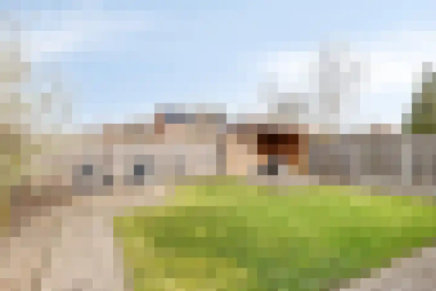 Schreyboom 26 Westdorpe thumbnail 30