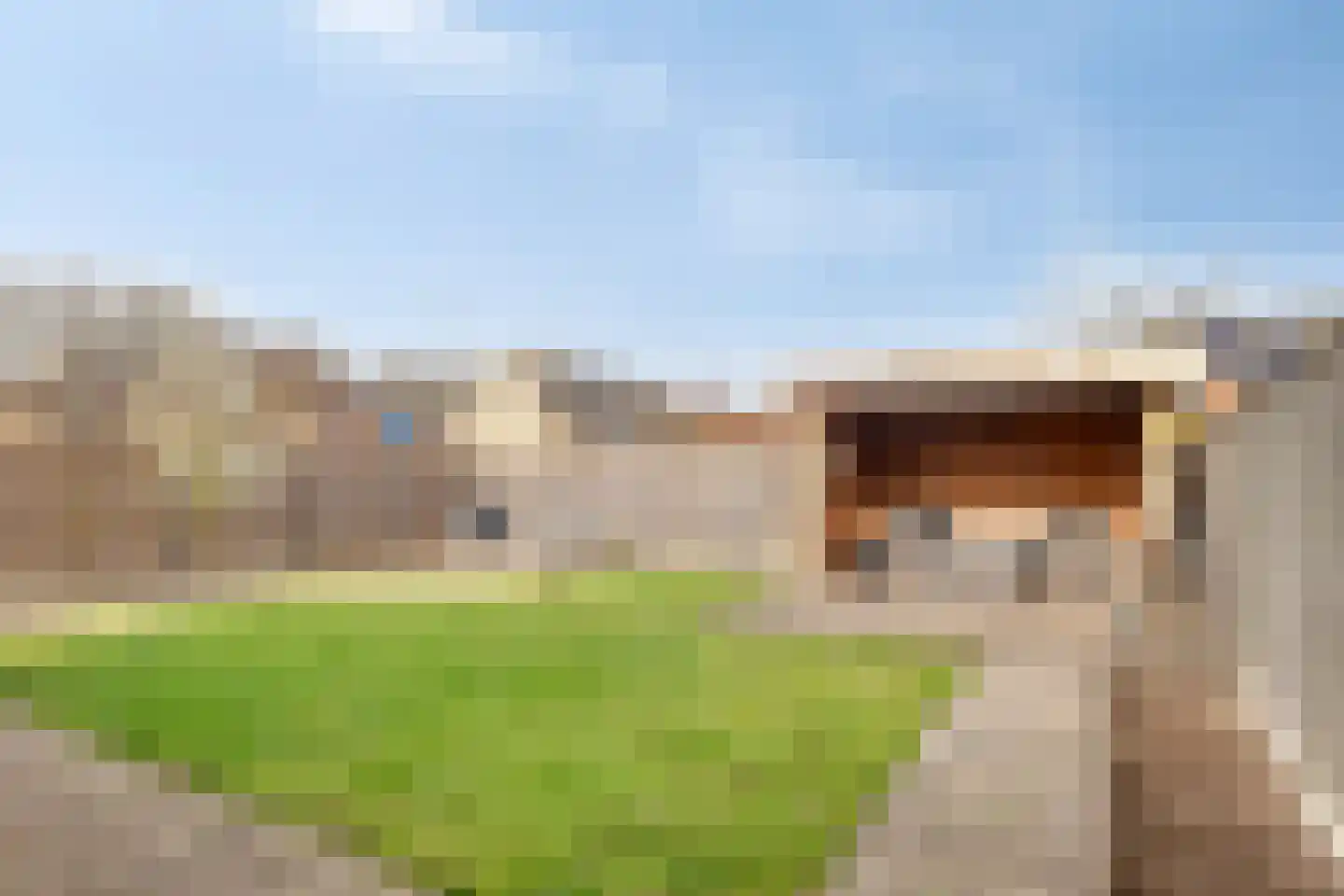 Schreyboom 26 Westdorpe thumbnail 31