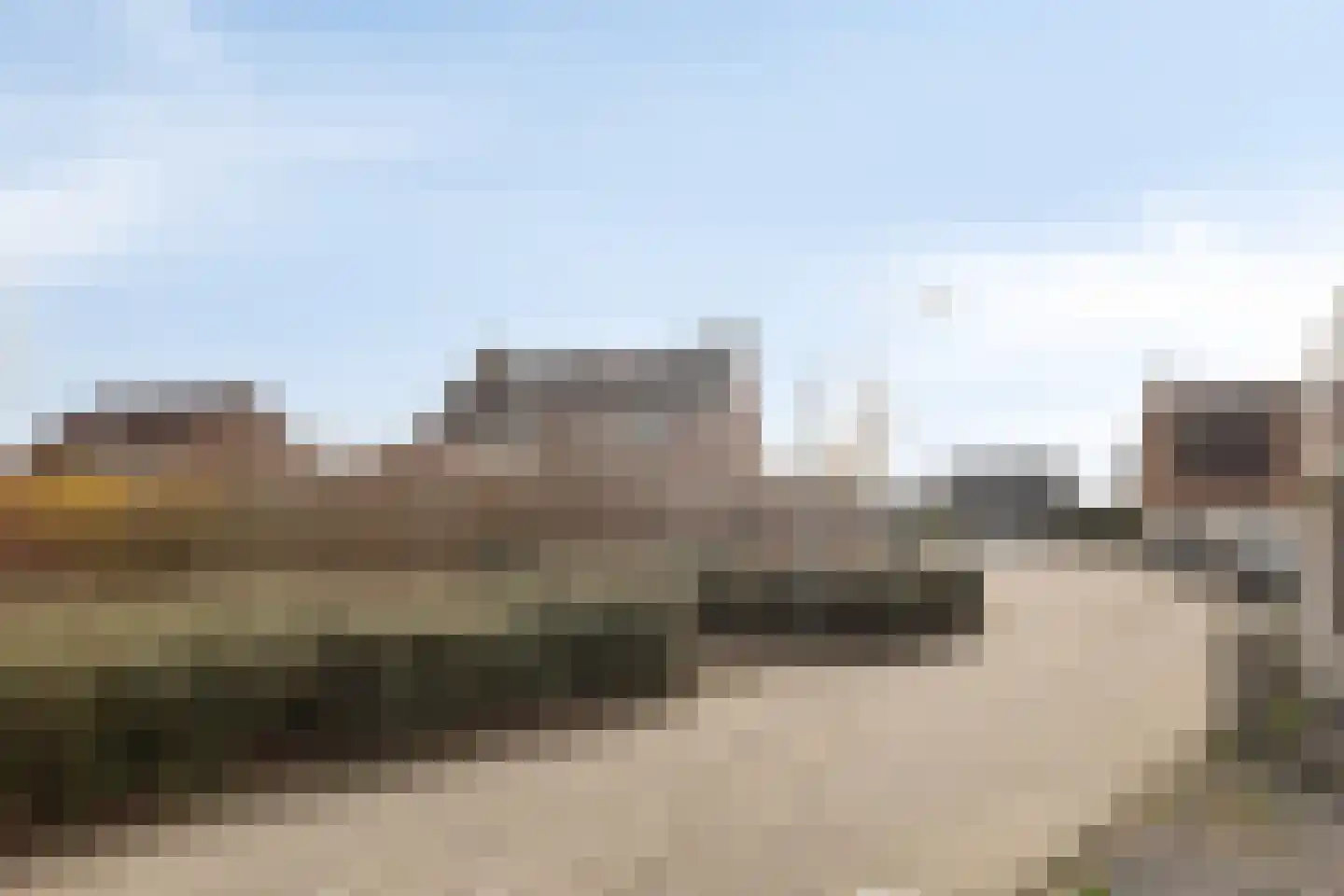 Schreyboom 26 Westdorpe thumbnail 33