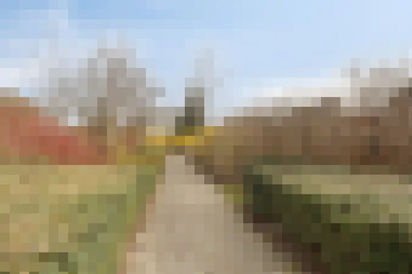 Schreyboom 26 Westdorpe thumbnail 34