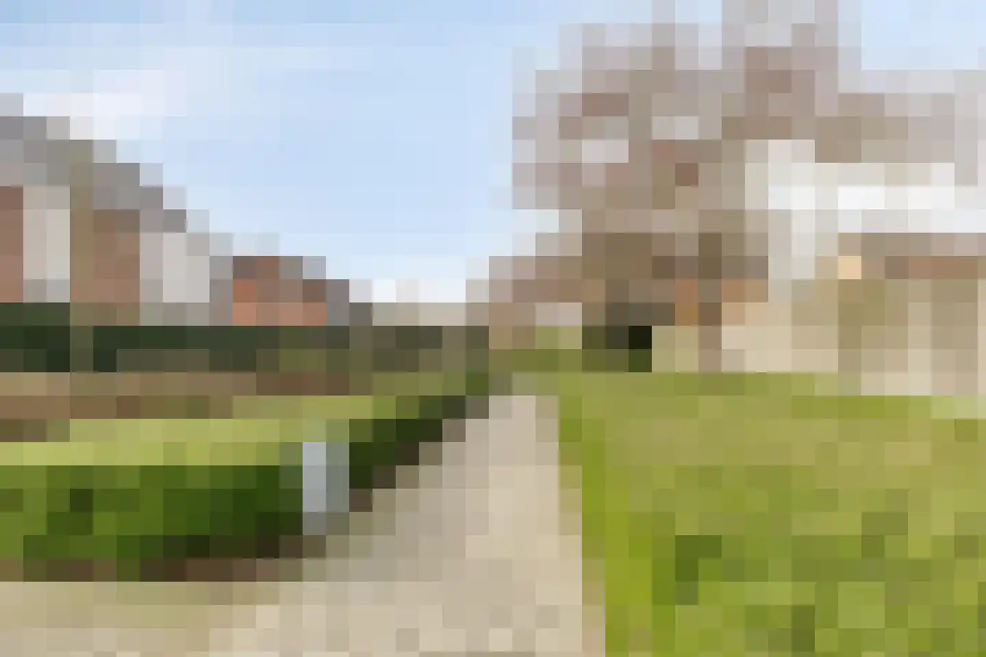 Schreyboom 26 Westdorpe thumbnail 35