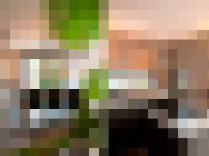 Schriekse Heihoek 102 Berghem thumbnail 10