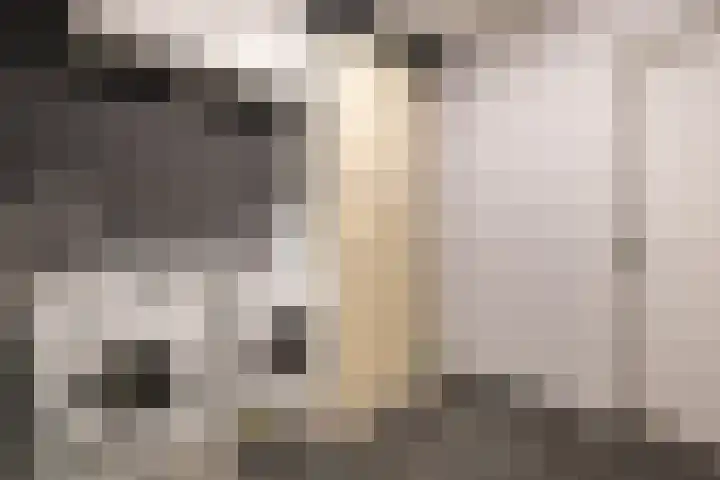Schriekse Heihoek 102 Berghem thumbnail 13