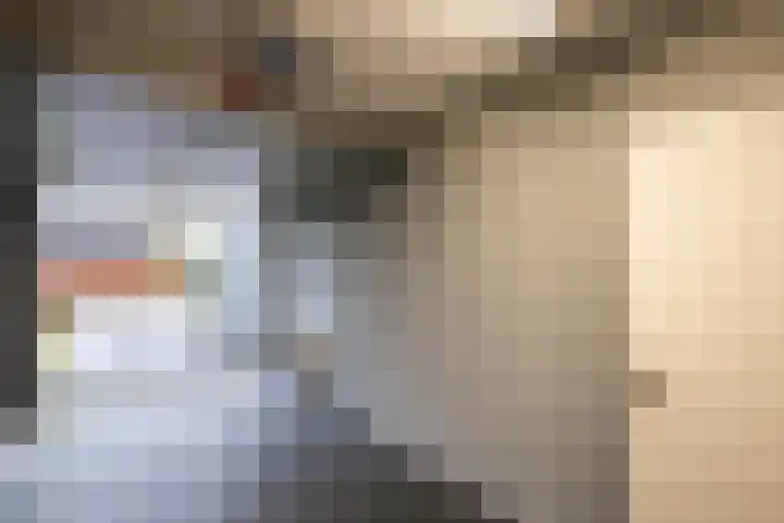 Schriekse Heihoek 102 Berghem thumbnail 14