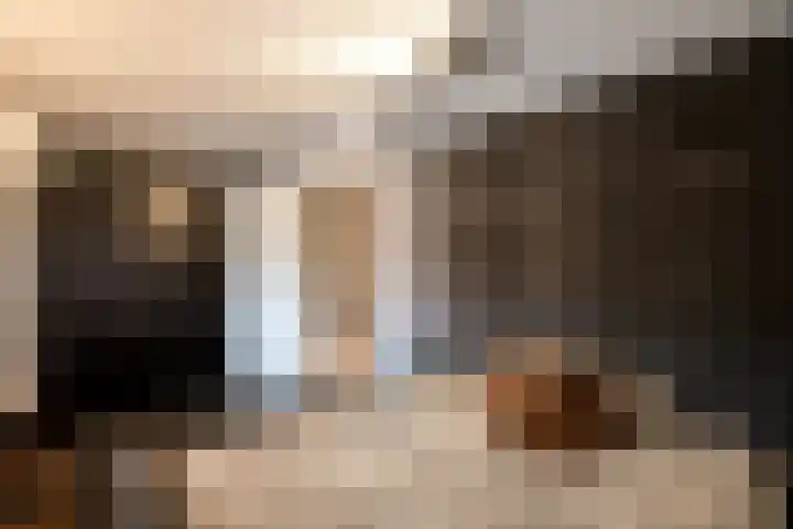 Schriekse Heihoek 102 Berghem thumbnail 16