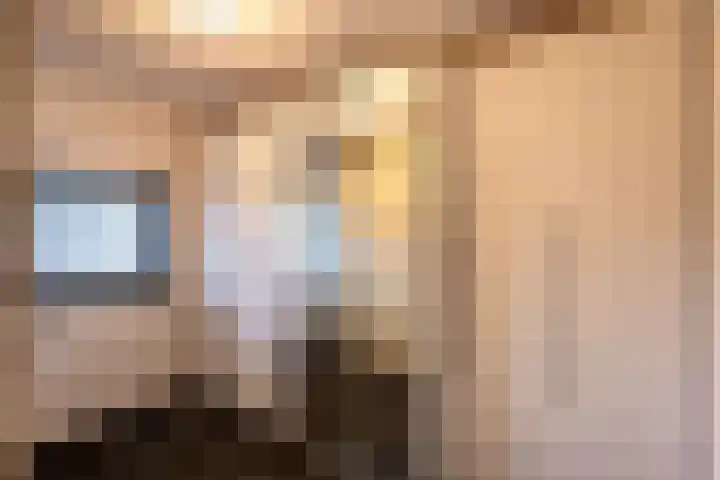 Schriekse Heihoek 102 Berghem thumbnail 18