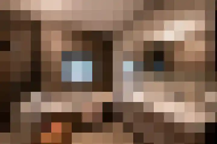 Schriekse Heihoek 102 Berghem thumbnail 19