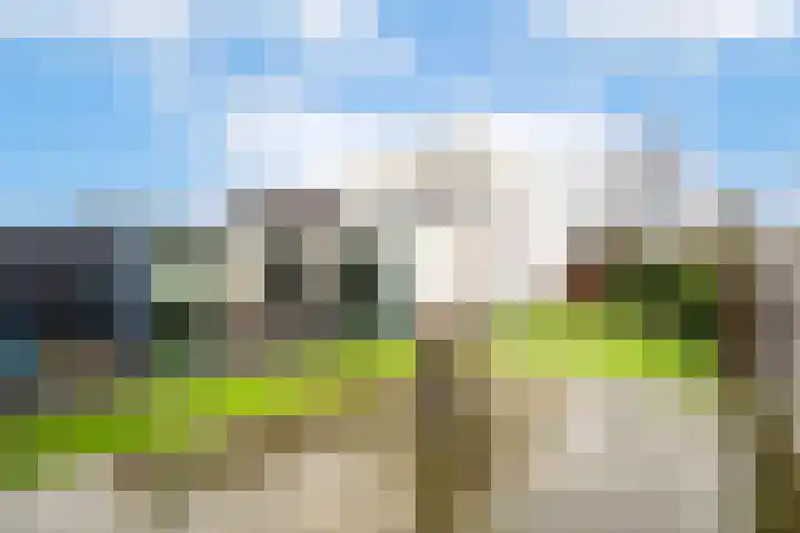 Schriekse Heihoek 102 Berghem thumbnail 21
