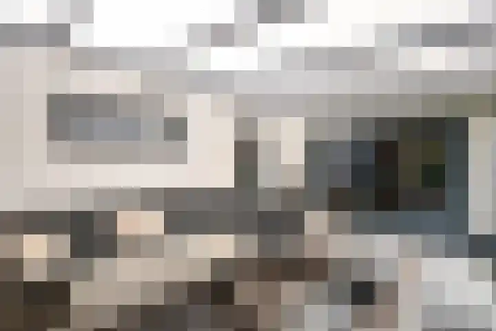 Schriekse Heihoek 102 Berghem thumbnail 22