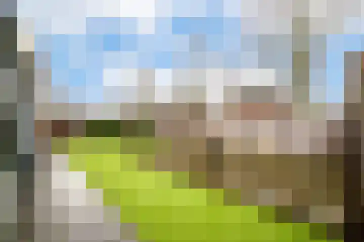 Schriekse Heihoek 102 Berghem thumbnail 23
