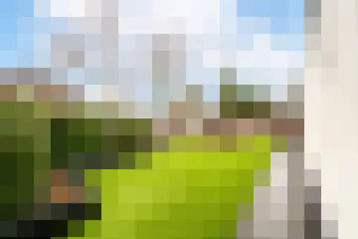 Schriekse Heihoek 102 Berghem thumbnail 24