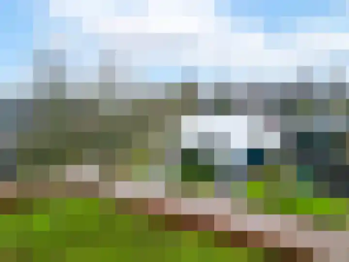 Schriekse Heihoek 102 Berghem thumbnail 25