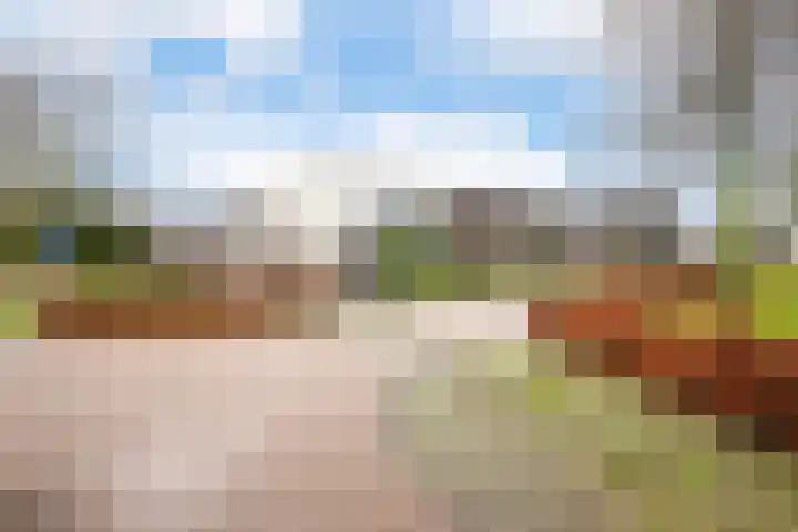 Schriekse Heihoek 102 Berghem thumbnail 26