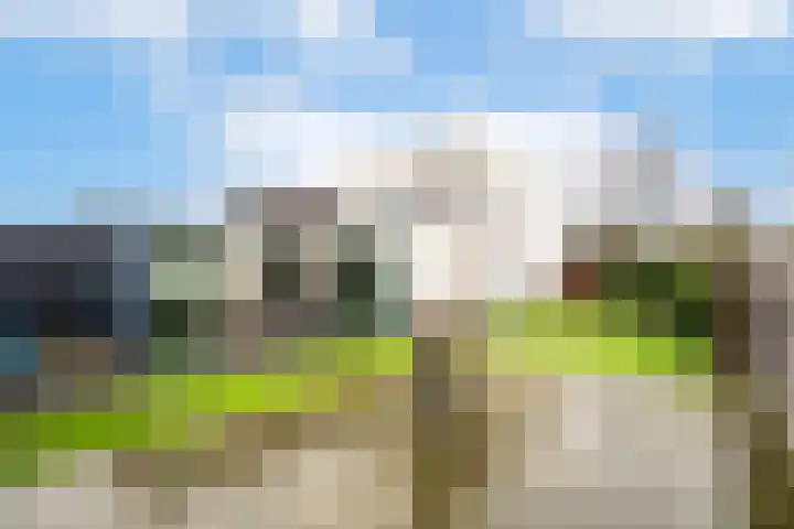 Schriekse Heihoek 102 Berghem thumbnail 4