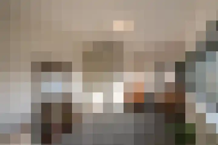 Schriekse Heihoek 112 Berghem thumbnail 17