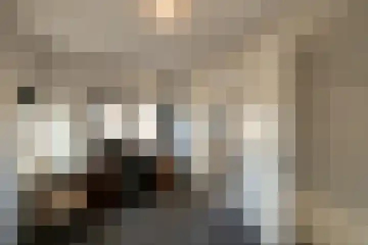 Schriekse Heihoek 112 Berghem thumbnail 18
